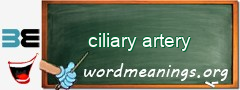 WordMeaning blackboard for ciliary artery